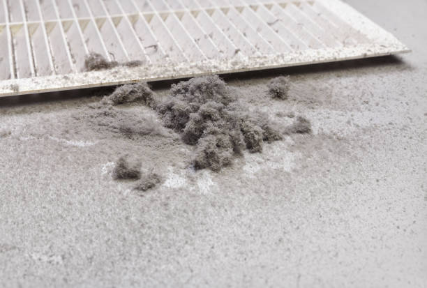 Best HVAC System Cleaning  in St Stephen, SC