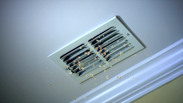 Best Affordable Air Duct Cleaning  in St Stephen, SC