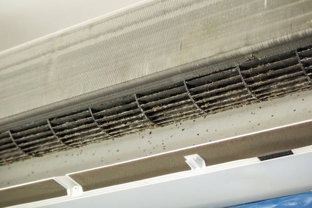 Best Air Duct Cleaning Near Me  in St Stephen, SC